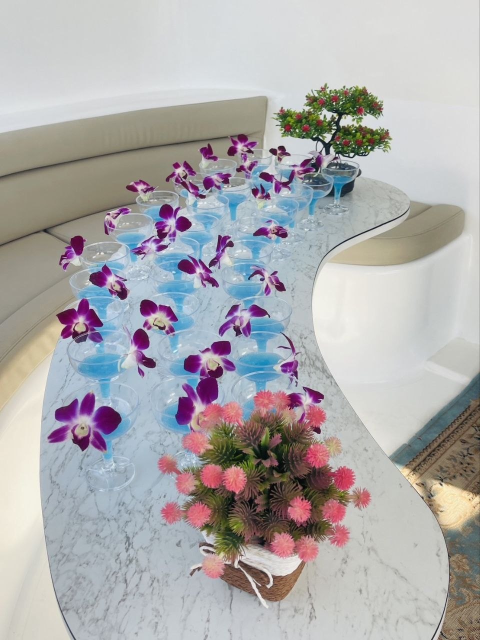 PASSION Yacht 80 ft photo 14